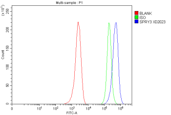 Flow Cytometry analysis of human MCF-7 cells using anti-SPRY3 antibody. Overlay histogram showing MCF-7 cells stained with (Blue line). To facilitate intracellular staining, cells were fixed with 4% paraformaldehyde and permeabilized with permeabilization buffer. The cells were blocked with 10% normal goat serum. And then incubated with rabbit anti-SPRY3 antibody (1 ug/million cells) for 30 min at 20oC. DyLight 488 conjugated goat anti-rabbit IgG (5-10 ug/million cells) was used as secondary antibody for 30 minutes at 20oC. Isotype control antibody (Green line) was rabbit IgG (1 ug/million cells) used under the same conditions. Unlabelled sample without incubation with primary antibody and secondary antibody (Red line) was used as a blank control.