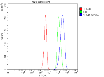 Flow Cytometry analysis of human HEL cells using anti-HPGD antibody. Overlay histogram showing HEL cells stained with (Blue line). To facilitate intracellular staining, cells were fixed with 4% paraformaldehyde and permeabilized with permeabilization buffer. The cells were blocked with 10% normal goat serum. And then incubated with rabbit anti-HPGD antibody (1 ug/million cells) for 30 min at 20oC. DyLight 488 conjugated goat anti-rabbit IgG (5-10 ug/million cells) was used as secondary antibody for 30 minutes at 20oC. Isotype control antibody (Green line) was rabbit IgG (1 ug/million cells) used under the same conditions. Unlabelled sample without incubation with primary antibody and secondary antibody (Red line) was used as a blank control.