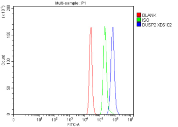 Flow cytometry analysis of fixed and permeabilized human RT4 cells with DUSP2 antibody at 1ug/million cells (blocked with goat sera); Red=cells alone, Green=isotype control, Blue= DUSP2 antibody.