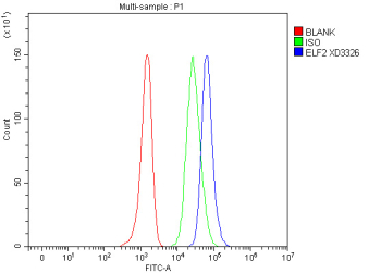 Flow cytometry analysis of ELF2 using ELF2 antibody. ELF2 expression was examined in human A2780 cells following fixation with 4% paraformaldehyde and permeabilization to enable intracellular staining. Cells were incubated with ELF2 antibody and detected using a fluorescent secondary antibody (blue). An isotype control stained under identical conditions is shown in green, and an unstained control is shown in red. The rightward fluorescence shift observed with ELF2 antibody staining indicates specific intracellular detection of ELF2.