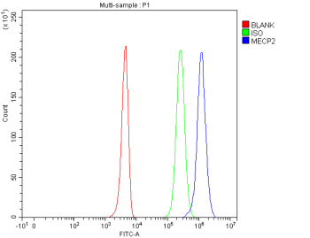 Flow cytometry analysis of MECP2 using Methyl-CpG-binding protein 2 antibody. MECP2 expression was examined in human HEK293T cells following fixation with 4% paraformaldehyde and permeabilization to enable intracellular staining. Cells were incubated with MECP2 antibody and detected using a fluorescent secondary antibody (blue). An isotype control stained under identical conditions is shown in green, and an unstained control is shown in red. The rightward fluorescence shift observed with MECP2 antibody staining indicates specific intracellular detection of MECP2.