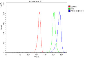 RPS12 Antibody MCF-7 Cell FACS. Flow cytometric analysis of fixed and permeabilized MCF-7 cells using RPS12 Antibody. Cells were fixed with 4% paraformaldehyde, permeabilized, blocked with normal goat serum, and incubated with RPS12 Antibody (1 ug/10^6 cells) for 30 minutes at 20Â°C. A Fluoro488-conjugated goat anti-rabbit secondary antibody was used for detection. The blue histogram represents RPS12 staining, the green histogram is the rabbit IgG isotype control, and the red histogram is the unstained control. A distinct rightward shift of the RPS12-stained population relative to the controls demonstrates specific intracellular detection of endogenous RPS12. These results demonstrate that RPS12 Antibody, a 40S Ribosomal Protein S12 Antibody, is suitable for flow cytometric analysis of intracellular RPS12 expression.