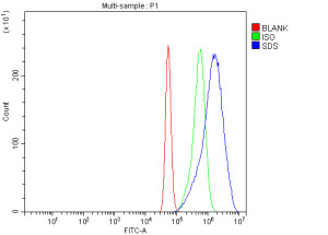 Serine Dehydratase Antibody A431 Cell FACS. Flow cytometry analysis of fixed and permeabilized A431 cells using Serine Dehydratase Antibody / SDS Antibody. Cells were stained with the primary antibody at 1 ug/10^6 cells, followed by a DyLight 488-conjugated goat anti-rabbit secondary antibody. The blue histogram represents cells stained with the Serine Dehydratase Antibody, the green histogram represents the rabbit IgG isotype control, and the red histogram represents the unstained blank control. The clear rightward shift of the SDS-stained population demonstrates specific intracellular detection of serine dehydratase in A431 cells. This Serine Dehydratase Antibody, also called SDS Antibody, is suitable for studies of amino acid metabolism, gluconeogenesis, liver physiology, and metabolic regulation.