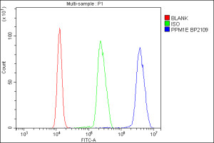 PPM1E Antibody Human K562 Cell FACS. Flow cytometry analysis of fixed and permeabilized human K562 cells stained with PPM1E Antibody / Protein Phosphatase 1E Antibody (blue). Cells were blocked with normal goat serum and incubated with PPM1E Antibody at 1 ug/10^6 cells, followed by a DyLight 488-conjugated goat anti-rabbit secondary antibody. Unstained cells (red) and an isotype control (green) were included to assess background staining. The pronounced rightward shift of the PPM1E-positive population demonstrates specific intracellular detection. This PPM1E Antibody, also called Protein Phosphatase 1E Antibody, is suitable for flow cytometric analysis of intracellular PPM1E expression.