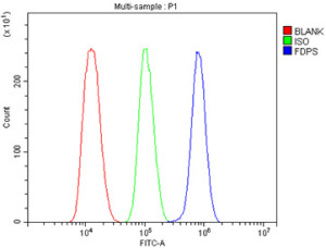 FDPS Antibody Human Monocytic Leukemia Cell FACS. Flow cytometry analysis of fixed and permeabilized human THP-1 cells using FDPS antibody demonstrated a clear rightward shift of the stained cell population (blue) relative to the isotype control (green), indicating specific intracellular detection of FDPS. Cells without primary and secondary antibodies served as the blank control (red), and cells were blocked with normal goat serum prior to staining. This FDPS Antibody, also called an Isoprenoid Biosynthesis Enzyme Antibody, is useful for investigating mevalonate pathway regulation, protein prenylation, cholesterol metabolism, and cancer biology.