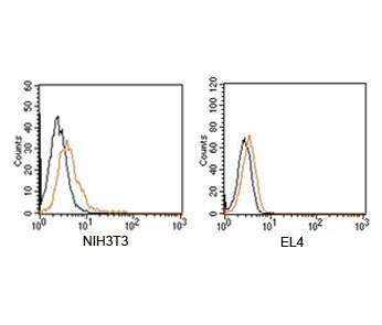 Rabbit IgG Isotype Control Polyclonal Antibody PE Conjugate NIH3T3 EL4 FACS. Flow cytometry analysis of mouse NIH3T3 and EL4 cells using Rabbit IgG Isotype Control Polyclonal Antibody PE Conjugate demonstrates low background staining and minimal non-specific binding. Overlay histograms compare fluorescence profiles of cells alone (black) and phycoerythrin (PE)-conjugated rabbit IgG isotype control antibody (orange), showing limited signal shift and low background fluorescence. This reagent serves as a negative control for fluorescence-based experiments employing PE-labeled rabbit polyclonal antibodies and supports assessment of non-specific antibody binding and background fluorescence.