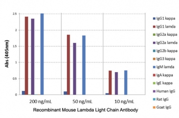 ELISA of mouse immunoglobulins shows recombinant Mouse Lambda Light Chain antibody reacts to the lambda light chain of mouse immunoglobulins. No cross reactivity with the kappa light chain, human IgG, rat IgG, or goat IgG.  The plate was coated with 50 ng/well of different immunoglobulins. 200 ng/mL, 50 ng/mL, or 10 ng/mL of RM110 was used as the primary antibody. Analkaline phosphatase conjugated anti-rabbit IgG as the secondary antibody.