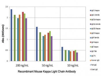 ELISA of mouse immunoglobulins shows the recombinant Mouse Kappa Light Chain antibody reacts to the kappa light chain of mouse immunoglobulins. No cross reactivity with the lambda light chain, human IgG (Îº+Î»), rat IgG (Îº+Î»), or goat IgG (Îº+Î»). The plate was coated with 50 ng/well of  different immunoglobulins. 200 ng/mL, 50 ng/mL, or 10 ng/mL of RM103 was used as the primary. An alkaline phosphatase conjugated anti-rabbit IgG as the secondary.