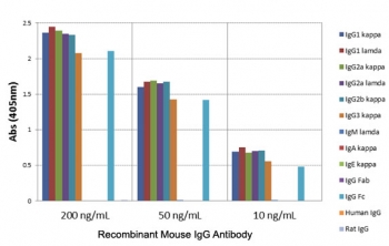 Mouse IgG Antibody Biotin ELISA Subclass Specificity Analysis. ELISA analysis of mouse immunoglobulins demonstrates that the parent clone RM104 antibody selectively recognizes mouse IgG / Ighg through Fc-region binding, with strong signal observed for IgG1, IgG2a, IgG2b, and IgG3 across tested concentrations. No cross-reactivity is detected with IgM, IgA, or IgE, and no reactivity is observed with human or rat IgG. This binding profile reflects Fc-specific recognition and is representative of the performance retained in the biotinylated format of the Mouse IgG Antibody for ELISA / Biotinylated Fc-Specific Anti-Mouse IgG Detection Antibody.