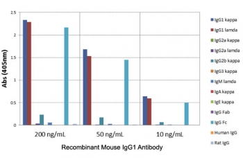 Mouse IgG1 Antibody Biotin ELISA Subclass Specificity Analysis. ELISA analysis of mouse immunoglobulins demonstrates that the parent clone RM106 antibody selectively recognizes Mouse IgG1 / Ighg1, with strong signal observed for IgG1 across tested concentrations. The antibody shows slight cross-reactivity with IgG2b, while no reactivity is detected with IgG2a, IgG3, IgM, IgA, or IgE, or with human or rat IgG. This binding profile reflects Fc region-directed recognition of mouse IgG1 and is retained in the biotinylated format of the Mouse IgG1 Antibody for ELISA / Biotinylated Anti-Mouse IgG1 ELISA Detection Antibody.