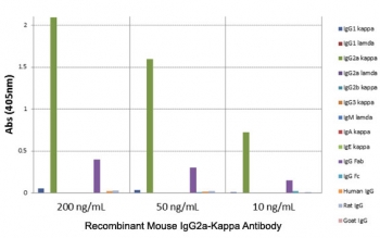 Mouse IgG2a-Kappa Antibody for ELISA Fab Specificity Analysis. ELISA analysis of mouse immunoglobulins demonstrates that clone RM107 selectively recognizes Mouse IgG2a kappa, with strong signal observed for IgG2a kappa across tested concentrations. No cross-reactivity is detected with IgG2a lambda, IgG1, IgG3, IgM, IgA, or IgE, or with human, rat, or goat IgG. The binding profile is consistent with Fab region-directed recognition and confirms selective detection of kappa light chain-containing IgG2a. These results support the use of this Mouse IgG2a-Kappa Antibody for ELISA / Anti-Mouse IgG2a-Kappa ELISA Detection Antibody for highly specific detection in ELISA-based immunoassays.
