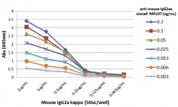 Mouse IgG2a-Kappa Antibody for ELISA Titration Curve. ELISA titration analysis using plates coated with serial dilutions of mouse IgG2a kappa demonstrates strong, concentration-dependent binding of clone RM107 across a broad dynamic range. Signal intensity decreases proportionally with antibody dilution, confirming high sensitivity and consistent binding performance. Detection was performed using an alkaline phosphatase-conjugated anti-rabbit IgG secondary antibody, supporting reliable quantification of Mouse IgG2a kappa in ELISA-based immunoassays.