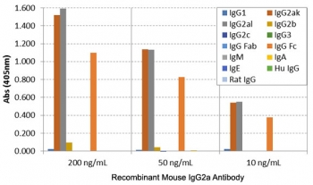 Mouse IgG2a Antibody for ELISA Subclass Specificity Analysis. ELISA analysis of mouse immunoglobulins demonstrates that clone RM219 selectively recognizes Mouse IgG2a, with strong signal observed across tested concentrations. No cross-reactivity is detected with IgG1, IgG2b, IgG2c, IgG3, IgM, IgA, or IgE, or with human or rat IgG. The binding profile is consistent with Fc region-directed recognition and supports broad detection of IgG2a independent of light chain composition. These results support the use of this Mouse IgG2a Antibody for ELISA / Anti-Mouse IgG2a ELISA Detection Antibody for precise subclass-specific detection in ELISA-based immunoassays.