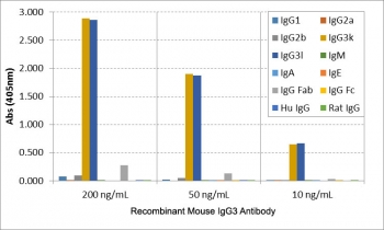 Mouse IgG3 Antibody for ELISA Subclass Specificity Analysis. ELISA analysis of mouse immunoglobulins demonstrates that clone RM218 selectively recognizes Mouse IgG3, with strong signal observed for both IgG3 kappa and IgG3 lambda across tested concentrations. No cross-reactivity is detected with IgG1, IgG2a, IgG2b, IgM, IgA, or IgE, or with human or rat IgG. The binding profile is consistent with Fab region-directed recognition and supports selective detection of IgG3 independent of light chain composition. These results support the use of this Mouse IgG3 Antibody for ELISA / Anti-Mouse IgG3 ELISA Detection Antibody for precise subclass-specific detection in ELISA-based immunoassays.