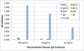 Mouse IgA Antibody for ELISA Subclass Specificity Analysis. ELISA analysis of mouse immunoglobulins demonstrates that clone RM220 selectively recognizes mouse IgA / Igha, with strong signal observed across tested concentrations. No cross-reactivity is detected with other mouse immunoglobulin classes including IgG1, IgG2a, IgG2b, IgG2c, IgG3, IgM, or IgE, and no reactivity is observed with human IgA. This binding profile supports highly specific detection of mouse IgA and highlights the utility of this Mouse IgA Antibody for ELISA / Anti-Mouse IgA Detection Antibody for selective IgA measurement in ELISA-based immunoassays.