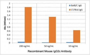Mouse IgG2c Antibody for ELISA Strain Specificity Analysis. ELISA analysis of mouse IgG from C57BL/6 and BALB/c strains demonstrates that clone RM223 selectively recognizes IgG2c present in C57BL/6 IgG, with strong signal observed across tested concentrations, while no reactivity is detected with BALB/c IgG containing IgG2a. This strain-specific binding profile confirms selective detection of IgG2c and highlights the importance of distinguishing IgG2c from IgG2a in murine immunology studies. These results support the use of this Mouse IgG2c Antibody for ELISA / Anti-Mouse IgG2c ELISA Detection Antibody for accurate, strain-aware subclass detection in ELISA-based immunoassays.