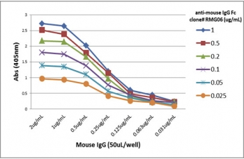 Mouse IgG Fc Antibody Biotin ELISA Titration Curve. ELISA titration analysis using plates coated with serial dilutions of mouse IgG demonstrates strong, concentration-dependent binding of clone RMG06 across a broad dynamic range. Signal intensity decreases proportionally with both antigen concentration and antibody dilution, confirming consistent Fc-region-specific recognition of mouse IgG. Detection was performed using an alkaline phosphatase-conjugated anti-goat IgG secondary antibody. This titration profile reflects the intrinsic binding performance of the parent clone RMG06 antibody and is representative of the characteristics retained in the biotinylated format of the Mouse IgG Fc Antibody for ELISA / Biotinylated Anti-Mouse IgG Fc Detection Antibody.