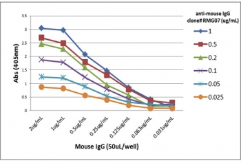 Mouse IgG Antibody for ELISA Titration Curve. ELISA titration analysis using plates coated with serial dilutions of mouse IgG demonstrates strong, concentration-dependent binding of clone RMG07 across a broad dynamic range. Signal intensity decreases proportionally with antibody dilution, confirming consistent binding performance and reliable detection across concentrations. Detection was performed using an alkaline phosphatase-conjugated anti-goat IgG secondary antibody, supporting accurate quantification of mouse IgG / Ighg in ELISA-based immunoassays.