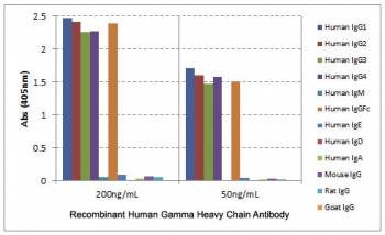 Human IgG Antibody for ELISA Subclass Specificity Analysis. ELISA analysis of human immunoglobulins demonstrates that clone RM116 selectively recognizes Human IgG / IGHG, with strong signal observed for IgG1, IgG2, IgG3, and IgG4 heavy chains as well as the Fc region of IgG across tested concentrations. No cross-reactivity is detected with other immunoglobulin heavy chains or with mouse, rat, or goat IgG. This binding profile supports broad subclass coverage and highlights the utility of this Human IgG Antibody for ELISA / Anti-Human IgG Detection Antibody for total IgG detection in ELISA-based immunoassays.