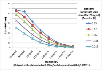 Human IgG Antibody Biotin Sandwich ELISA Human IgG. Sandwich ELISA analysis using purified human IgG demonstrates that the parent clone RM116 antibody functions effectively as a capture antibody for Human IgG / IGHG, with signal intensity decreasing proportionally with antigen concentration, indicating strong and concentration-dependent detection. Captured IgG was detected using a biotinylated anti-human light chains (kappa + lambda) antibody (clone RM129), followed by alkaline phosphatase-conjugated streptavidin for signal development. These results reflect the intrinsic binding performance of clone RM116 and are representative of the characteristics retained in the biotinylated format of the Human IgG Antibody for ELISA / Biotinylated Anti-Human IgG Detection Antibody.