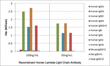 Human Lambda Light Chain Antibody for ELISA Human Immunoglobulin Lambda Specificity Analysis. ELISA analysis using Human Lambda Light Chain Antibody for ELISA clone RM127 demonstrates selective reactivity to lambda light chains across multiple human immunoglobulin classes, including IgG subclasses, IgM, and IgA. No cross-reactivity is observed with kappa light chains or with mouse, rat, or goat IgG, confirming strong specificity for human lambda light chain detection. These results support reliable use of this antibody for ELISA-based quantification of lambda-containing immunoglobulins.
