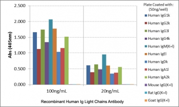 Human Immunoglobulin Light Chains Antibody for ELISA Biotinylated Human Immunoglobulin Panel Reactivity. ELISA analysis of human immunoglobulins using the unlabeled parent Human Immunoglobulin Light Chains Antibody for ELISA clone RM129 demonstrates strong reactivity to both kappa and lambda light chains across multiple human immunoglobulin classes, including IgG subclasses, IgM, IgA, and IgE. The biotinylated Human Immunoglobulin Light Chains Antibody for ELISA is derived from this parent antibody and is designed for use in streptavidin-based detection systems to enable enhanced sensitivity. No cross-reactivity is observed with mouse, rat, or goat immunoglobulin light chains, supporting high specificity for human immunoglobulin detection in ELISA applications.
