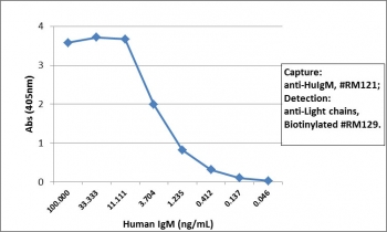 Human IgM Antibody for ELISA Sandwich ELISA Human IgM. Sandwich ELISA analysis using purified human IgM demonstrates that clone RM121 functions effectively as a capture antibody for Human IgM / IGHM, with signal intensity decreasing proportionally with antigen concentration, indicating strong and concentration-dependent detection. Captured IgM was detected using a biotinylated anti-human light chains (kappa + lambda) antibody (clone RM129), followed by alkaline phosphatase-conjugated streptavidin for signal development. This assay configuration supports accurate quantification of IgM and highlights the utility of this Human IgM Antibody for ELISA / Anti-IgM Detection Antibody in sandwich ELISA-based immunoassays.
