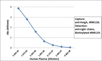 Human IgA Antibody for ELISA Sandwich ELISA Human Plasma. Sandwich ELISA analysis demonstrates that clone RM128 functions effectively as a capture antibody for Human IgA / IGHA, with signal intensity decreasing proportionally with plasma dilution, indicating strong and concentration-dependent detection. Captured IgA was detected using a biotinylated anti-human light chains (kappa + lambda) antibody (clone RM129), followed by alkaline phosphatase-conjugated streptavidin for signal development. This assay supports reliable detection of IgA in plasma and highlights the utility of this Human IgA Antibody for ELISA / Anti-IgA Detection Antibody for quantitative ELISA-based immunoassays.
