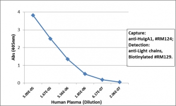 Human IgA1 Antibody for ELISA Sandwich ELISA Human Plasma. Sandwich ELISA analysis demonstrates that clone RM124 functions effectively as a capture antibody for Human IgA1 / IGHA1, with signal intensity decreasing proportionally with plasma dilution, indicating strong and concentration-dependent detection. Captured IgA1 was detected using a biotinylated anti-human light chains (kappa + lambda) antibody (clone RM129), followed by alkaline phosphatase-conjugated streptavidin for signal development. This assay supports reliable detection of IgA1 in plasma and highlights the utility of this Human IgA1 Antibody for ELISA / Anti-IgA1 Detection Antibody for subclass-specific ELISA-based immunoassays.
