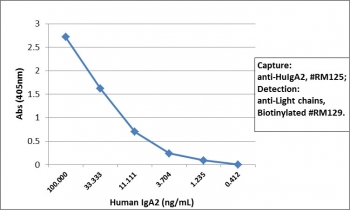 Human IgA2 Antibody for ELISA Sandwich ELISA Human IgA2. Sandwich ELISA analysis using purified human IgA2 demonstrates that clone RM125 functions effectively as a capture antibody for Human IgA2 / IGHA2, with signal intensity decreasing proportionally with antigen concentration, indicating strong and concentration-dependent detection. Captured IgA2 was detected using a biotinylated anti-human light chains (kappa + lambda) antibody (clone RM129), followed by alkaline phosphatase-conjugated streptavidin for signal development. This assay configuration supports accurate quantification of IgA2 and highlights the utility of this Human IgA2 Antibody for ELISA / Anti-IgA2 Detection Antibody in subclass-specific ELISA-based immunoassays.