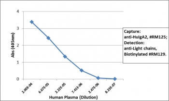Human IgA2 Antibody Biotin Sandwich ELISA Human Plasma. Sandwich ELISA analysis demonstrates that the parent clone RM125 antibody functions effectively as a capture antibody for Human IgA2 / IGHA2, with signal intensity decreasing proportionally with plasma dilution, indicating strong and concentration-dependent detection. Captured IgA2 was detected using a biotinylated anti-human light chains (kappa + lambda) antibody (clone RM129), followed by alkaline phosphatase-conjugated streptavidin for signal development. This binding profile reflects the intrinsic performance of clone RM125 and is representative of the characteristics retained in the biotinylated format of the Human IgA2 Antibody for ELISA / Biotinylated Anti-IgA2 Detection Antibody.