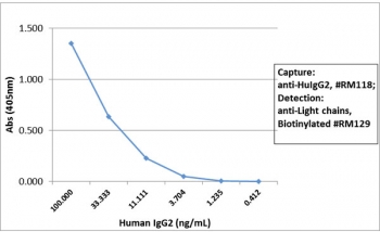 Human IgG2 Antibody for ELISA Human IgG2 Standard Curve. Sandwich ELISA using purified human IgG2 demonstrates that clone RM118 functions as an effective capture antibody for Human IgG2 / IGHG2, with signal intensity decreasing in a concentration-dependent manner across the dilution series, supporting accurate quantification. Captured IgG2 was detected using a biotinylated anti-human light chains (kappa + lambda) antibody (clone RM129), followed by alkaline phosphatase-conjugated streptavidin for signal development. The resulting standard curve highlights the suitability of this Human IgG2 Antibody for ELISA / Anti-Human IgG2 ELISA Detection Antibody for quantitative ELISA-based measurement of IgG2.