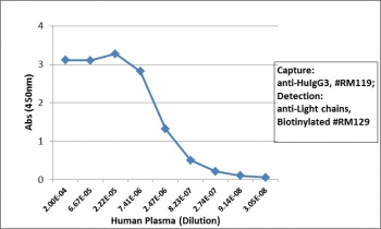 Human IgG3 Antibody for ELISA Sandwich ELISA Human Plasma. Sandwich ELISA using human plasma demonstrates that clone RM119 functions effectively as a capture antibody for Human IgG3 / IGHG3, with signal intensity decreasing proportionally with sample dilution, indicating robust and concentration-dependent detection. Captured IgG3 was detected using a biotinylated anti-human light chains (kappa + lambda) antibody (clone RM129), followed by alkaline phosphatase-conjugated streptavidin for signal development. The assay configuration supports reliable quantification of IgG3 in complex biological samples and highlights the utility of this Human IgG3 Antibody for ELISA / Anti-Human IgG3 ELISA Detection Antibody in sandwich ELISA-based immunoglobulin measurement.
