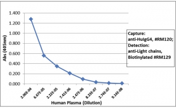 Human IgG4 Antibody for ELISA Sandwich ELISA Human Plasma. Sandwich ELISA analysis of human plasma demonstrates that clone RM120 functions effectively as a capture antibody for Human IgG4 / IGHG4, with signal intensity decreasing proportionally with sample dilution, indicating robust and concentration-dependent detection. Captured IgG4 was detected using a biotinylated anti-human light chains (kappa + lambda) antibody (clone RM129), followed by alkaline phosphatase-conjugated streptavidin for signal development. The dilution-dependent signal supports selective capture of IgG4 and reflects hinge region-directed recognition, enabling subclass-specific detection in complex biological samples.