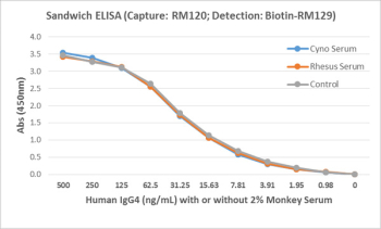 Human IgG4 Antibody for ELISA Sandwich ELISA Matrix Compatibility. Sandwich ELISA analysis demonstrates detection of human IgG4 spiked into monkey serum using clone RM120 as a capture antibody for Human IgG4 / IGHG4, with overlapping dilution curves observed between serum and control conditions. Captured IgG4 was detected using a biotinylated anti-human light chains (kappa + lambda) antibody (clone RM129), followed by HRP-conjugated streptavidin for signal development. The comparable signal profiles support reliable detection of IgG4 in complex biological matrices and reflect hinge region-directed recognition with minimal interference.