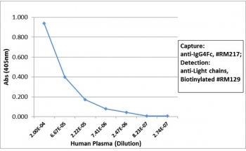 Human IgG4 Fc Antibody for ELISA Sandwich ELISA Human Plasma. Sandwich ELISA analysis demonstrates that clone RM217 functions effectively as a capture antibody for IgG4 / IGHG4 in human plasma, with signal intensity decreasing proportionally with dilution, indicating concentration-dependent detection. Captured IgG4 was detected using a biotinylated anti-human light chains (kappa + lambda) antibody (clone RM129), followed by alkaline phosphatase-conjugated streptavidin for signal development. This assay supports selective Fc-region detection of IgG4 and highlights the utility of this Human IgG4 Fc Antibody for ELISA / Anti-IgG4 Fc Detection Antibody in subclass-specific ELISA workflows.