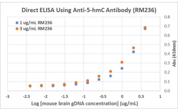 Direct ELISA of mouse brain genomic DNA using recombinant 5hmC antibody. The plate was directly coated with different concentrations of genomic DNA isolated from mouse brain tissue. 1 ug/ml or 3 ug/ml of RM236 mAb was used as the primary, and an anti-rabbit IgG HRP secondary.
