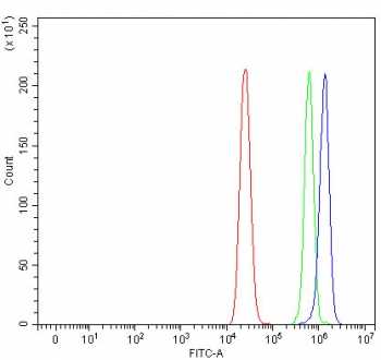 Flow cytometry testing of fixed and permeabilized human MCF7 cells with SSH3BP1 antibody at 1ug/million cells (blocked with goat sera); Red=cells alone, Green=isotype control, Blue= SSH3BP1 antibody.