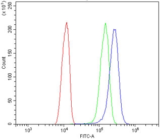 Flow cytometry testing of human A431 cells with Annexin A1 antibody at 1ug/million cells (blocked with goat sera); Red=cells alone, Green=isotype control, Blue= Annexin A1 antibody.