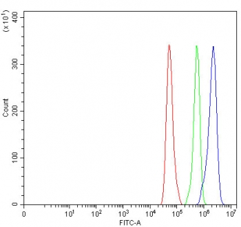 Flow cytometry testing of fixed and permeabilized human HeLa cells with AQP1 antibody at 1ug/10^6 cells (blocked with goat sera); Red=cells alone, Green=isotype control, Blue=AQP1 antibody.