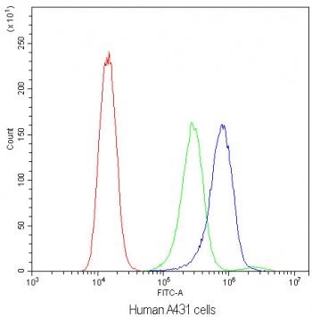 Flow cytometry testing of human A431 cells with Bax antibody at 1ug/10^6 cells (blocked with goat sera); Red=cells alone, Green=isotype control, Blue=Bax antibody.