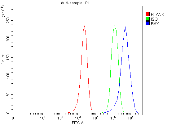 Bax Antibody MCF-7 Cell FACS. Flow cytometric analysis of fixed and permeabilized human MCF-7 cells stained with Bax antibody. Red: blank control. Green: rabbit IgG isotype control. Blue: Bax antibody. The pronounced rightward shift of the Bax antibody-stained population relative to the isotype control demonstrates specific intracellular detection of BCL2 Associated X Protein (Bax), a pro-apoptotic BCL2 family protein that regulates mitochondrial outer membrane permeabilization and activation of the intrinsic apoptotic pathway following cellular stress.
