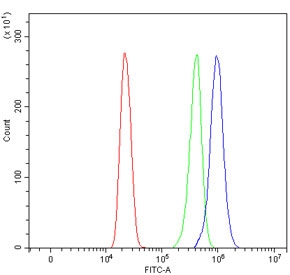 CD44 Antibody HL60 Cell FACS. Flow cytometry analysis of CD44 / CD44 antigen expression in human HL60 cells using rabbit polyclonal antibody at 1 ug per million cells following blocking with goat sera. The CD44 antibody-stained population (blue) demonstrates a clear right-shift compared to cells alone (red) and isotype control (green), indicating strong cell surface expression of CD44. The distinct separation between populations supports its use for identifying, gating, and quantifying CD44-positive leukocyte populations in flow cytometry assays.