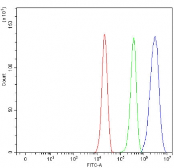 Flow cytometry testing of fixed and permeabilized human A549 cells with STAT1 antibody at 1ug/million cells (blocked with goat sera); Red=cells alone, Green=isotype control, Blue= STAT1 antibody.