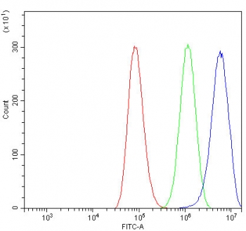 Flow cytometry testing of fixed and permeabilized human A549 cells with HSP60 antibody at 1ug/million cells (blocked with goat sera); Red=cells alone, Green=isotype control, Blue= HSP60 antibody.