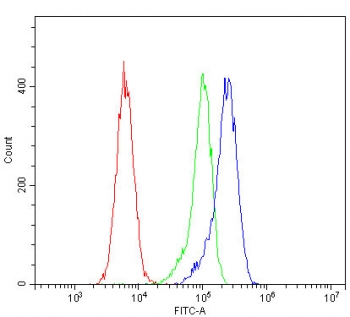 Cytokeratin 8 Antibody Caco-2 FACS. Flow cytometry testing of fixed and permeabilized human Caco-2 cells with Cytokeratin 8 antibody at 1ug/million cells (blocked with goat sera); Red=cells alone, Green=isotype control, Blue= Cytokeratin 8 antibody.