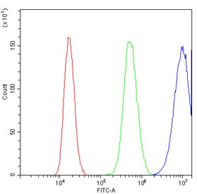 Galectin Antibody PC-3 Flow Cytometry. Flow cytometry analysis of human PC-3 cells stained with Galectin antibody at 1 ug/million cells demonstrates a marked rightward shift of the positive population (blue) relative to the isotype control (green) and unstained cells (red). The observed fluorescence profile is consistent with expression of Galectin-1 (LGALS1), a beta-galactoside-binding lectin involved in immune regulation, cell adhesion, apoptosis, angiogenesis, and tumor microenvironment signaling. The clear separation between antibody-stained and control populations supports specific detection of endogenous Galectin-1 in PC-3 cells and demonstrates the utility of this Galectin antibody for flow cytometric analysis. Cells were blocked with goat sera prior to staining.