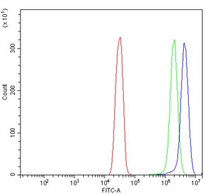 Flow cytometry testing of human SiHa cells with Caspase-6 antibody at 1ug/million cells (blocked with goat sera); Red=cells alone, Green=isotype control, Blue= Caspase-6 antibody.