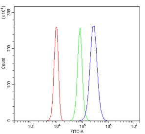 Desmoglein 2 Antibody 293T FACS. Flow cytometry analysis of human 293T cells stained with Desmoglein 2 antibody detecting DSG2. The antibody signal (blue) shows a clear rightward shift compared to cells alone (red) and isotype control (green), indicating positive surface-associated detection of DSG2. This pattern is consistent with Desmoglein 2 as a membrane-localized desmosomal cadherin involved in cell-cell adhesion.