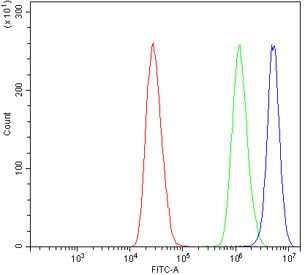 Ku70 Antibody MCF7 Cell FACS. Flow cytometry testing of human MCF7 cells with Ku70 antibody at 1ug/million cells (blocked with goat sera); Red=cells alone, Green=isotype control, Blue= Ku70 antibody.